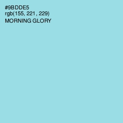 #9BDDE5 - Morning Glory Color Image